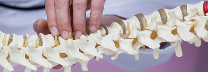 Chiropractic Crystal Lake IL What is Chiropractic Chiropractic Crystal Lake IL What is Chiropractic